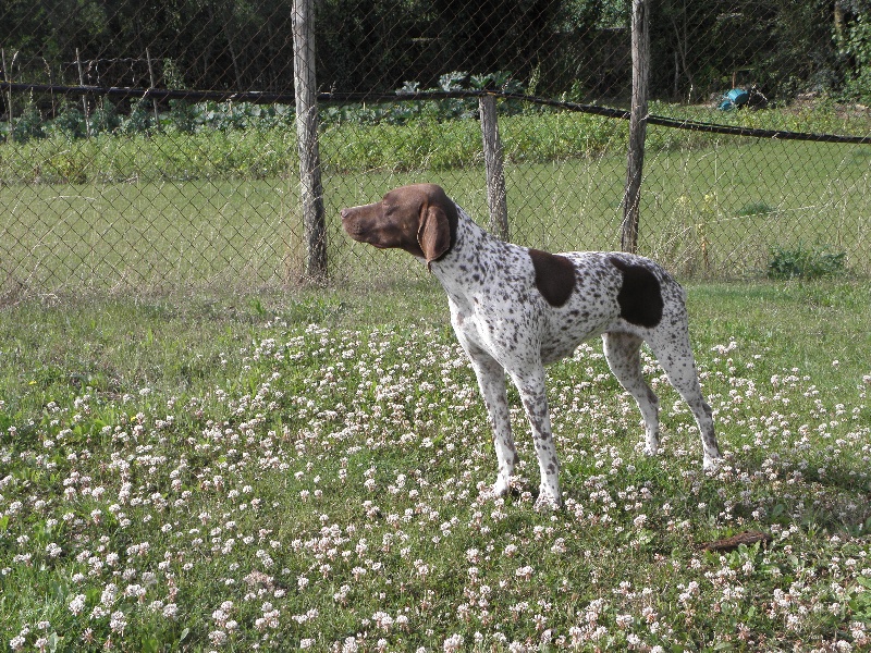 Gigy du Milobre de Bouisse
