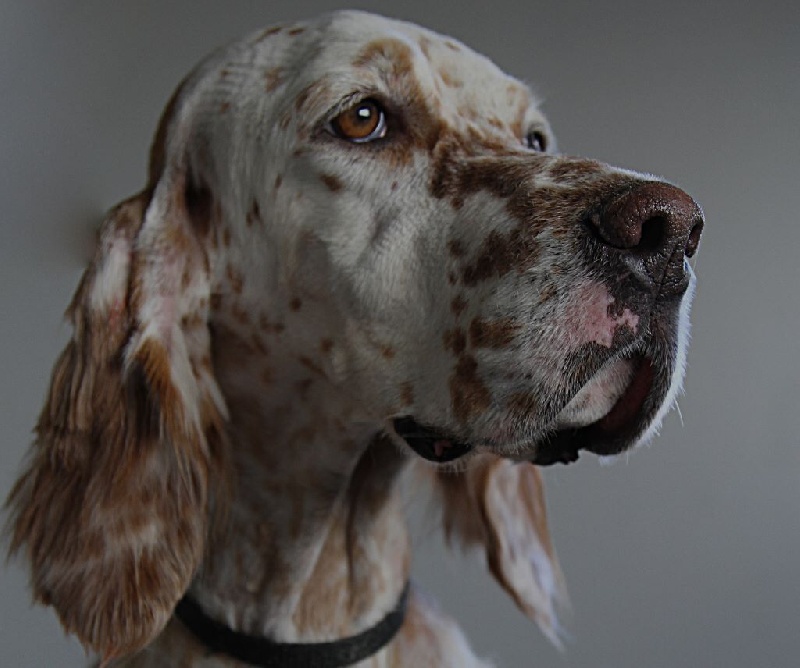 Isis Della cruismany