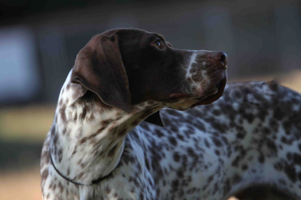 Neige du clos d'issou